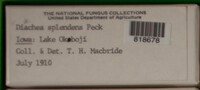Image Associated With the Occurence